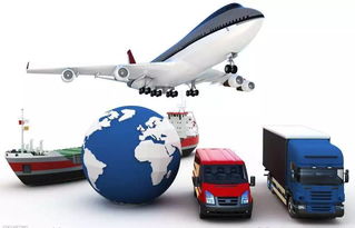 天猫出海新突破 杭州保税零售出口试单告捷，电器辅件销售迎蓝海